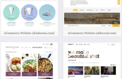 北京星誠(chéng)視野網(wǎng)絡(luò)科技有限公司、北京網(wǎng)站設(shè)計(jì)