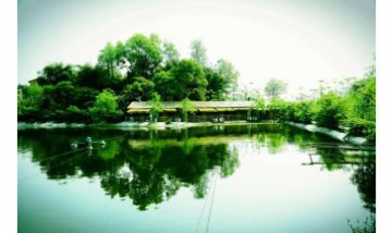 重慶美家農(nóng)業(yè)開(kāi)發(fā)有限責(zé)任公司全...