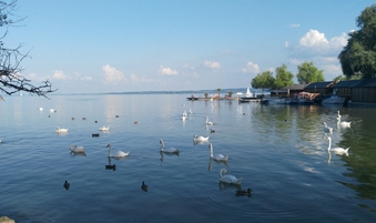 行業(yè)網(wǎng)站建設(shè)、北京網(wǎng)絡(luò)公司　旅游網(wǎng)站建設(shè)