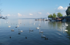 行業(yè)網(wǎng)站建設(shè)、北京網(wǎng)絡(luò)公司　旅游網(wǎng)站建設(shè)