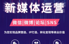 行業(yè)網(wǎng)站建設(shè)、新媒體運(yùn)營、短視頻剪輯