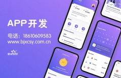 原生APP開發(fā)、app、app定制開發(fā)、網(wǎng)上商城APP
