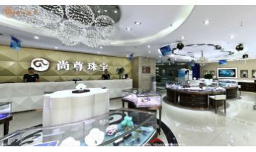 山東尚尊珠寶有限公司全景圖