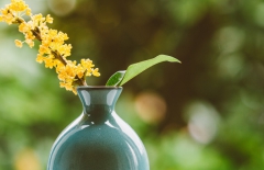 北京網站建設、北京網站建設公司、北京網絡公司