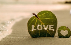 北京做網站公司、高端網站建設、高端品牌網站建設、北京網絡公司