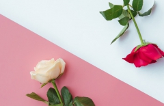 北京網(wǎng)站建設(shè)、北京網(wǎng)站建設(shè)公司、北京網(wǎng)站制作公司、北京網(wǎng)站制作、北京做網(wǎng)站