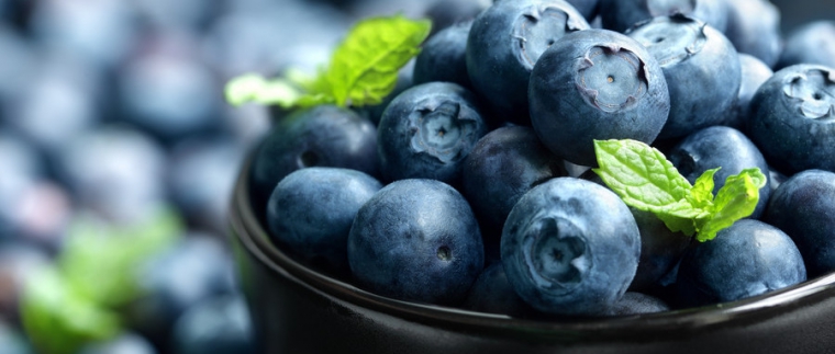 北京網站建設、北京網站建設公司、北京網站制作公司、北京專業(yè)網站建設公司、星誠視野、北京專業(yè)網站建設、北京網站建設公司、北京星誠視野網絡科技有限公司