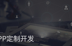 app開(kāi)發(fā)、原生APP開(kāi)發(fā)、app定制開(kāi)發(fā)、APP開(kāi)發(fā)公司 