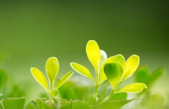 北京網站建設、北京專業(yè)網頁設計、北京專業(yè)網站建設、北京網絡公司、北京專業(yè)網站開發(fā)公司、北京企業(yè)網站建設、北京專業(yè)網站制作公司