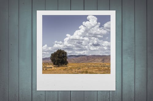 北京做網(wǎng)站、高端品牌網(wǎng)站建設(shè)、北京網(wǎng)頁設(shè)計(jì)公司、北京高端網(wǎng)站建設(shè)、教育類網(wǎng)站建設(shè)