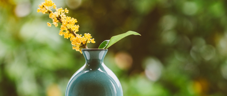 北京網(wǎng)站建設(shè)、北京網(wǎng)站建設(shè)公司、北京網(wǎng)絡(luò)公司