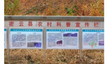 北京古北口大江冬棗種植專業(yè)合作...