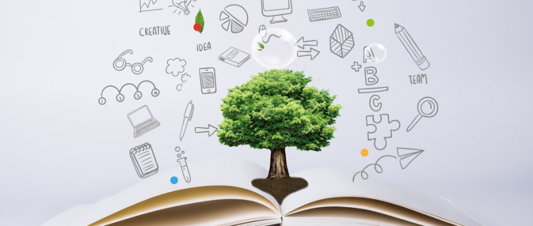 北京網(wǎng)站建設(shè)、北京星誠視野網(wǎng)絡(luò)科技有限公司、網(wǎng)站建設(shè)哪家公司好