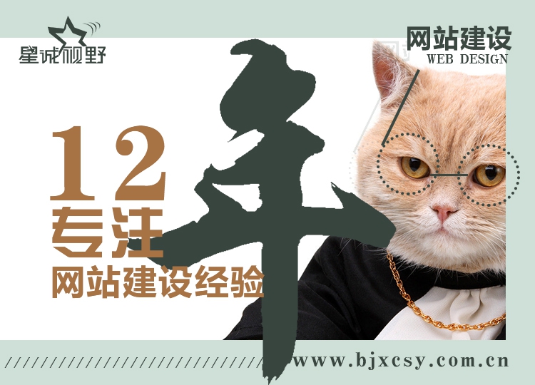 公司的網(wǎng)站制作、響應(yīng)式網(wǎng)站制作、專業(yè)的網(wǎng)站制作公司、北京網(wǎng)站制作