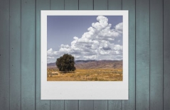 北京做網站、高端品牌網站建設、北京網頁設計公司、北京高端網站建設、教育類網站建設