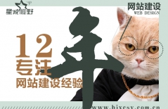 北京網(wǎng)站建設(shè)、北京網(wǎng)站制作公司、高端品牌網(wǎng)站建設(shè)、北京高端網(wǎng)站建設(shè)